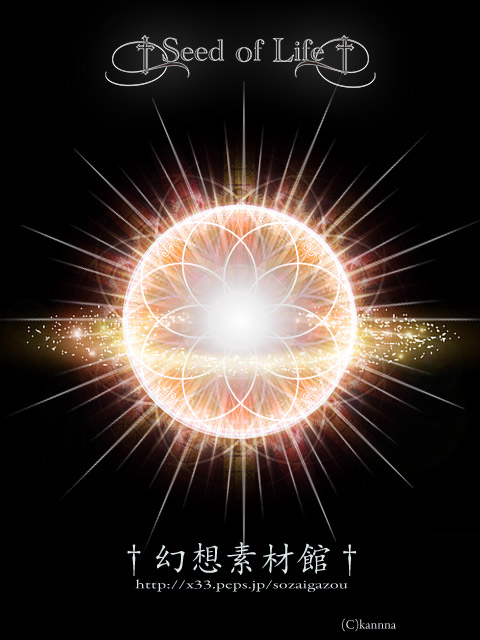 Seed of Life3